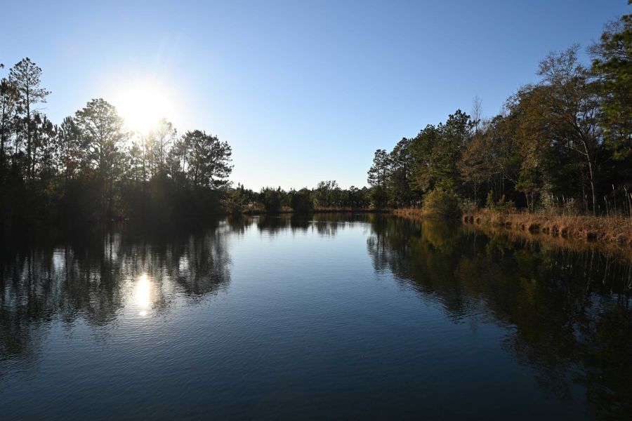 South Laurel Farm Pond