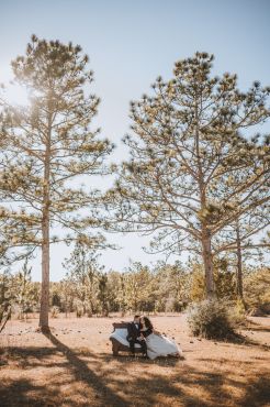 Wedding Gallery Photo