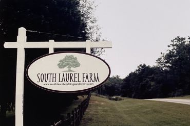 Wedding Gallery Photo