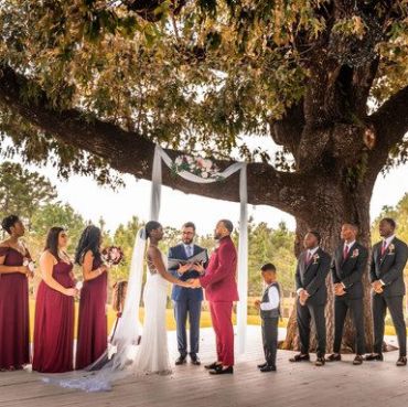 Wedding Gallery Photo