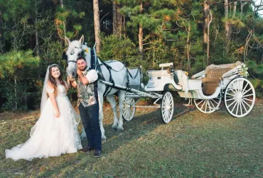 Wedding Gallery Photo